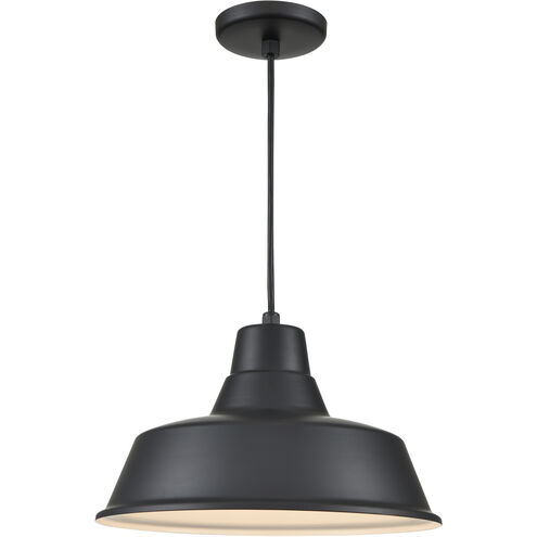 R Series 1 Light 14 inch Satin Black Outdoor Pendant